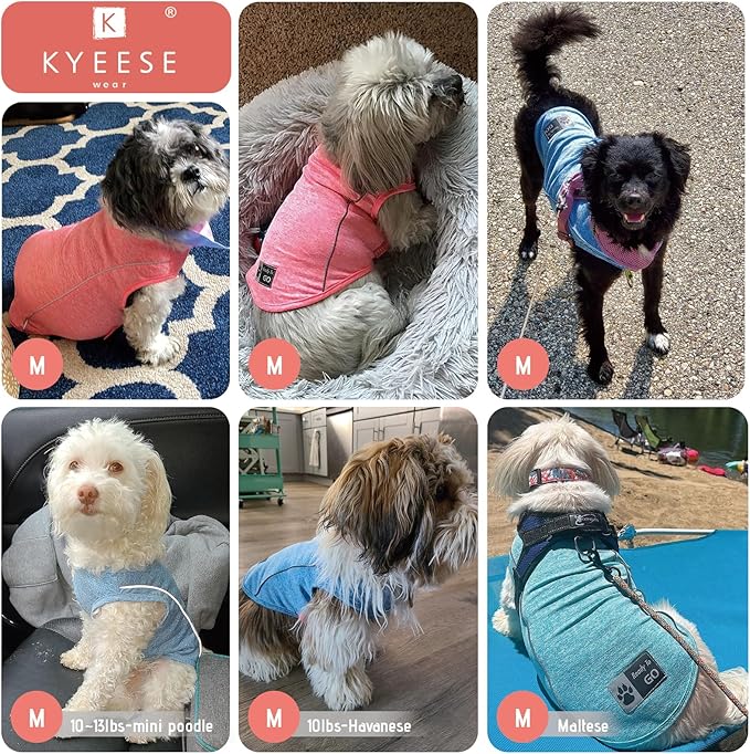 KYEESE 2Pack Dog Shirt for Small Dogs with Reflective Stripe Athletic Tank Top Breathable Sleeveless Dog Vest,Lake Blue+Rose Red,S
