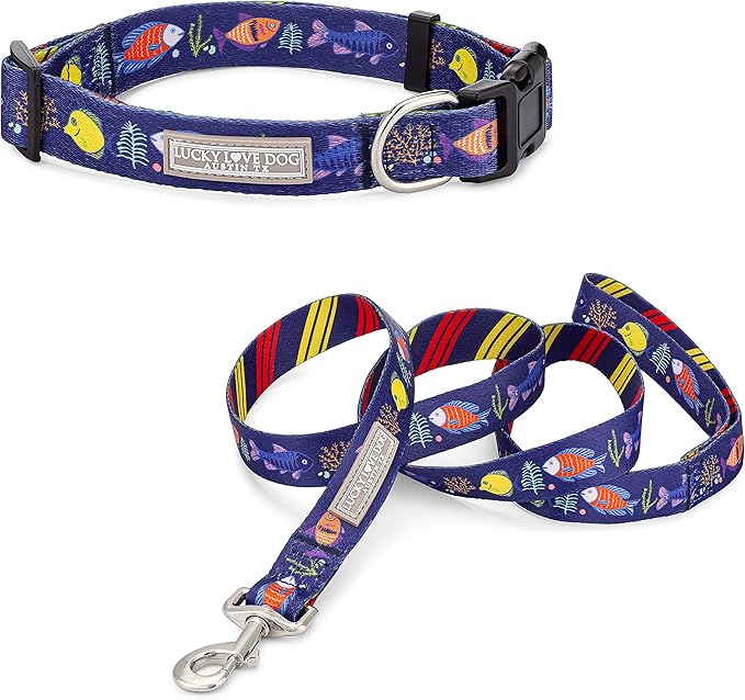 Lucky Love Dog - Easy Click Buckle Dog Collar with Leash Set Combo, Durable & Comfortable for Male & Female Dogs, Pet Collar for Small to Large Dogs, Secure Fit - Mackey Combo, Large