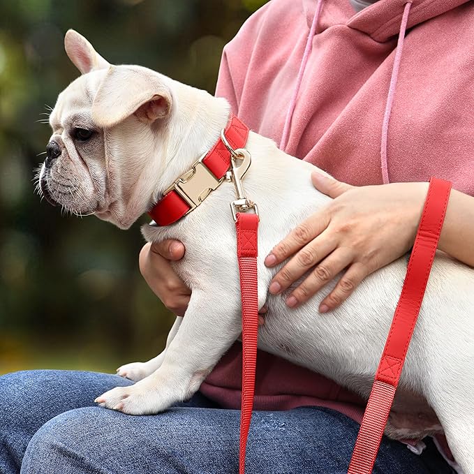 PET ARTIST Bright & Classic Leather Dog Collar, Durable & Heavy Duty Dog Collars with Quick Release Metal Buckle, Adjustable Nylon Padded Pet Collar for Small Dogs Girl, Neck Fit 9-14"