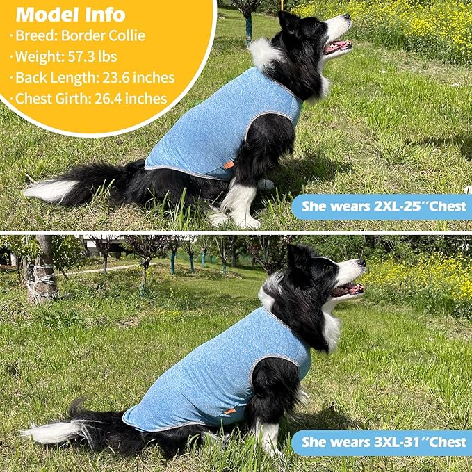 KYEESE 2 Pack Dog Shirts Quick Dry Soft Stretchy Pet T-Shirts with Reflective Label Tank Top Sleeveless Vest Sun Protection Dog Clothes for Small Dogs, XX-Large, Light Blue+Grey