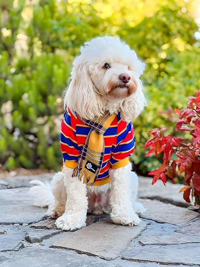 Fitwarm 2 Pack Striped Dog Shirt, Summer Dog Clothes for Small Dogs Boy, Breathable Pet Tshirt, Stretchy Cat Outfit, 104% Cotton, Black and White, Royal Blue and Yellow, XL