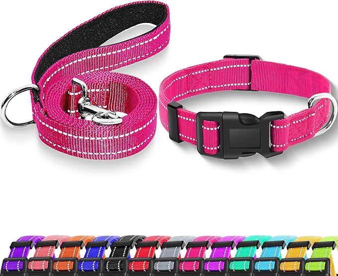 Reflective Dog Collar with Safety Locking Buckle, Adjustable Soft Breathable Nylon Collars for Small, Medium and Large Dogs(Collar+Leash XS Width 3/8" Hotpink)