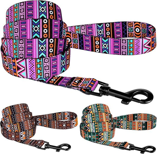 CollarDirect Aztec Dog Leash Nylon Tribal Pattern Cat Pet Leashes for Small Medium Large Dogs Puppy Lead 5 FT Long for Walking (Pattern 2, M)