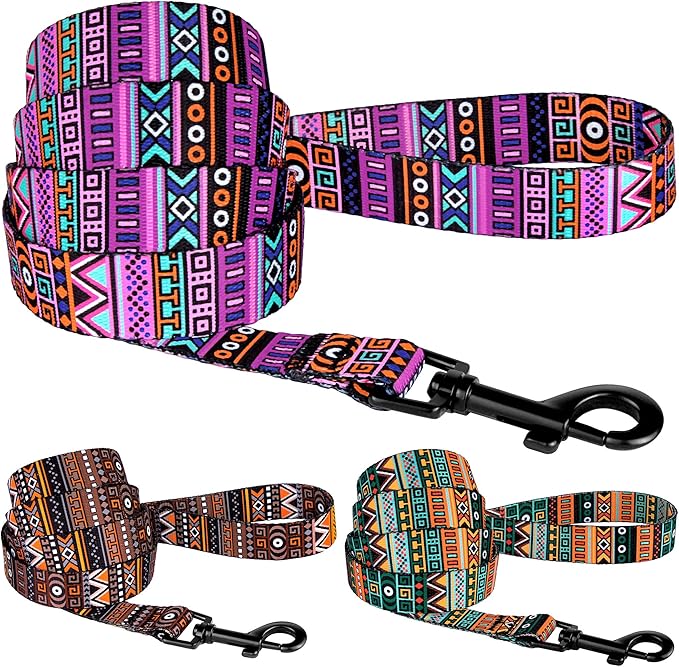 CollarDirect Aztec Dog Leash Nylon Tribal Pattern Cat Pet Leashes for Small Medium Large Dogs Puppy Lead 5 FT Long for Walking (Pattern 2, S)