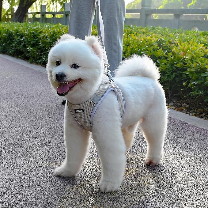 AIITLE No Pull Dog Harness and Leash Set, Step in Adjustable Dog Harness with Padded Vest for All Weather, Reflective Pet Harness, Easy to Put on Small Dogs Beige S