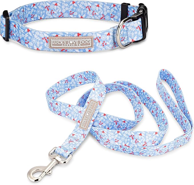 Lucky Love Dog Dog Collar, Leash Set Small, Medium, Large, Premium, Cute and Adjustable Collars for Male and Female Dogs, Winterblue Combo, Extra Small