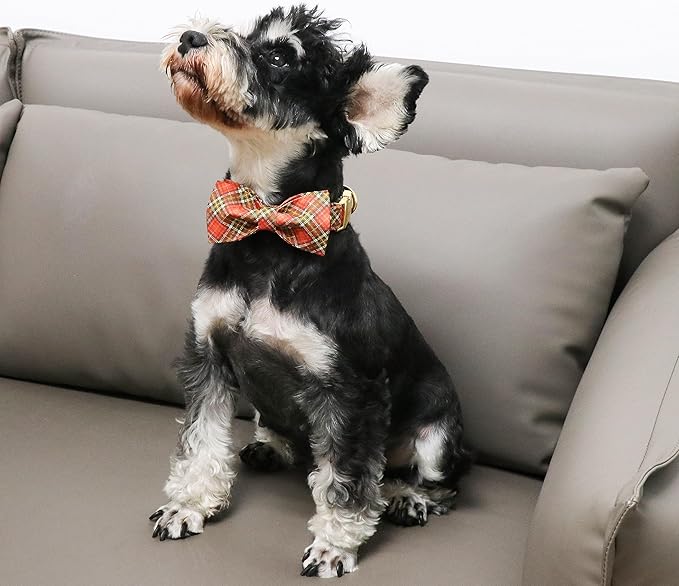 Unique Style Paws Cotton Dog Collar with Bow Halloween Pumpkin Plaid Dog Collar with Bow Tie for Small Medium Large Dogs Pets Gifts