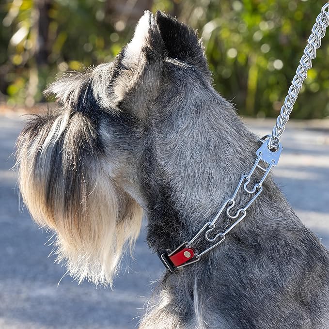 Herm Sprenger Chrome Plated Steel Dog Collar with Quick Release ClicLock Buckle and Biothane Insert Training Collar for Dogs Made in Germany (Cherry Red, 22in x 3.0mm(Neck Size up to 18-19in))