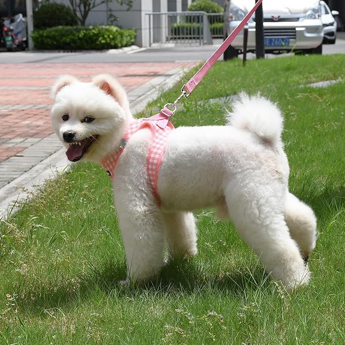 AIITLE Breathable Mesh Dog Vest Harness, No Pull Escape Proof Vest Harnesses with Reflective Bands, Adjustable Plaid Pet Outdoor Harnesses for Small and Medium Dogs Watermelon M