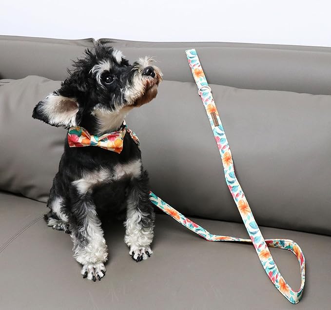 Unique Style Paws Cotton Dog Collar with Bow Floral Plaid Colorful Dog Collar with Bow Tie for Small Medium Large Dogs Pets Gifts