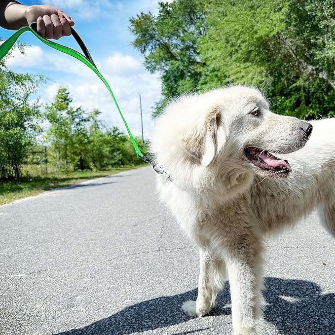 Joytale Dog Leash Heavy Duty for Large Dogs That Pull, Double Handle for Traffic Control, Double-Sided Reflective Leashes for Large Medium Dogs Night Safety, 4FT, Green
