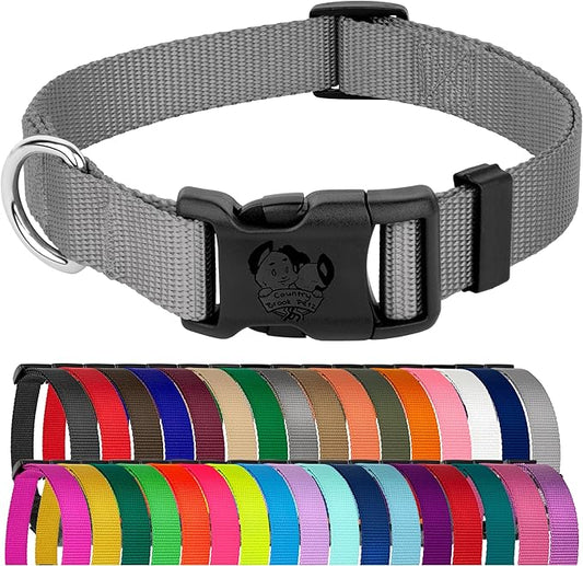 Country Brook Petz - American-Made Dog Collar for Large, Medium, and Small Dogs and Puppies - Deluxe Heavy Duty Nylon in 33 Dazzling Colors (3XS, 3/8 Inch Wide, Silver)