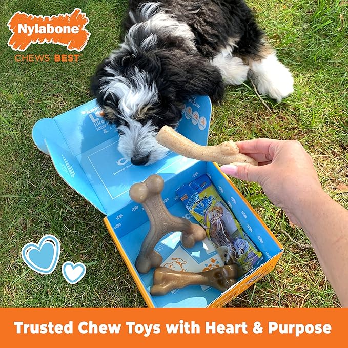 Nylabone Puppy Gift Box, Includes 3 Strong Chew Toys and 1 Natural Dog Treat, Gifts for Puppies, Small - Up to 25 lbs, 4 Pack
