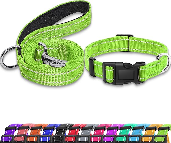 Reflective Dog Collar with Safety Locking Buckle, Adjustable Soft Breathable Nylon Collars for Small, Medium and Large Dogs(Collar+Leash XL Green)