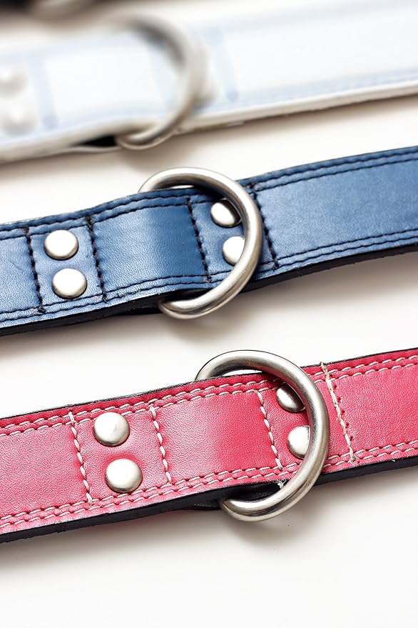 Premium Leather Collars with Stainless Steel Buckles (18"-21", Pink)
