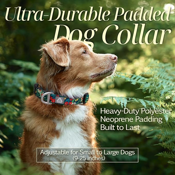 Dog Collar for Large Dogs with Reflective Logo and Soft Padded Neoprene,Floral Print Design,Adjustable,Lightweight & Durable, Neck Size 16’’-25’’ (Floral, L)