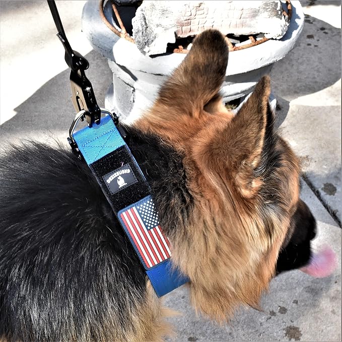 Tactical Dog Collar 2 Inch Wide Thick Heavy Duty Military Style with Metal Buckle, Adjustable for Medium - Large Breeds, Durable K9 Training Gear with Patch Area, USA Flag Patch, Strong and Secure Fit