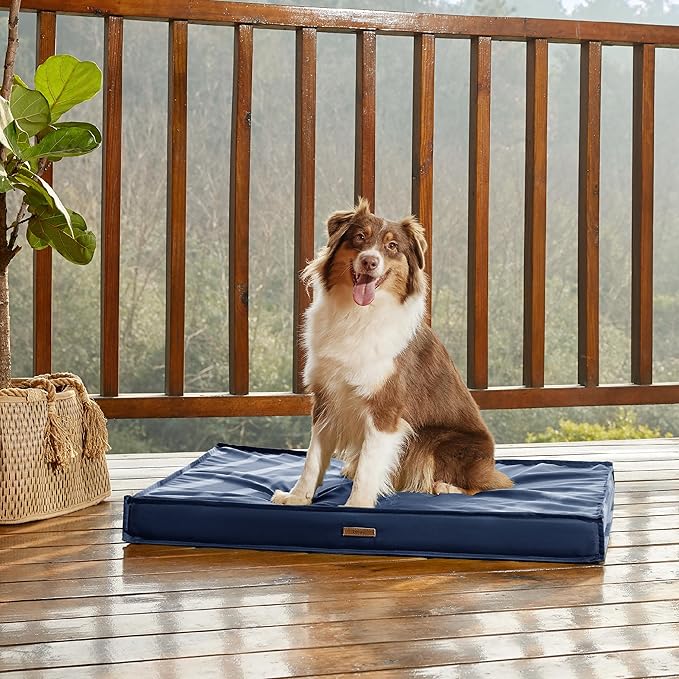 Lesure Outdoor Waterproof Dog Bed for Medium Sized Dogs, Orthopedic Egg Crate Foam Pet Bed with Oxford Fabric Surface and Removable and Durable Cover, Machine Washable, 30''x20'', Navy