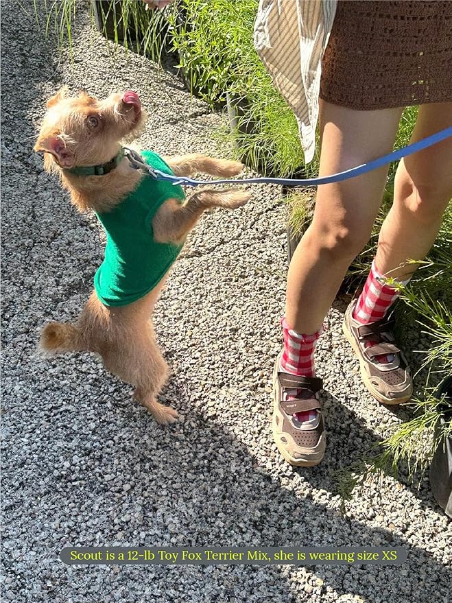 ADEDAS Sleeveless Shirt - Green XXL