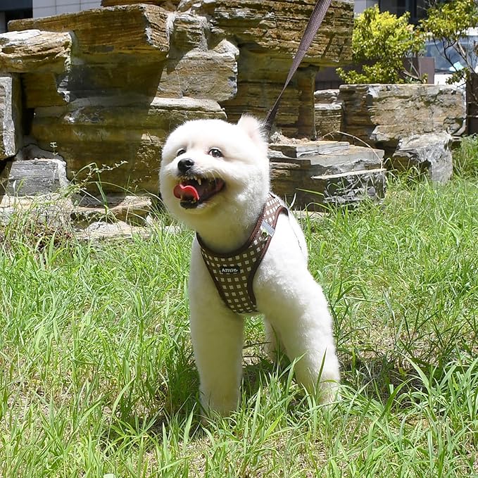 AIITLE Easy Walk Dog Vest Harness and Leash Set, Pet Supply No Pull, Breathable Mesh, Reflective Stripes, Adjustable Escape Proof Pet Outdoor Harnesses for Medium Dogs Chocolate L