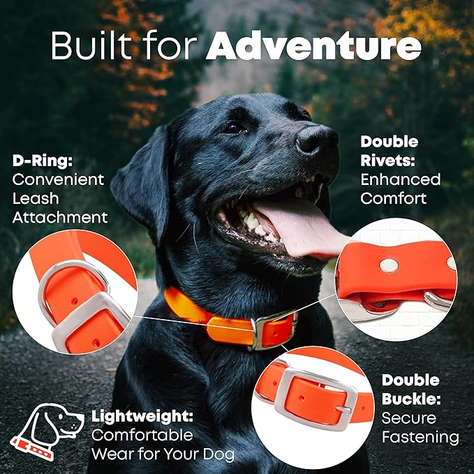 Regal Dog Products Small Orange Waterproof Dog Collar and Leash Set | Heavy Duty Double Buckle & D Ring - 5'ft Leash | Adjustable Biothane Dog Collar | Chew Resistant Waterproof Collar for Dogs