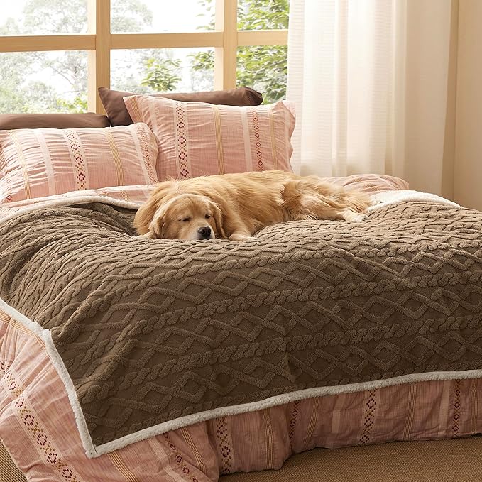 Bedsure Waterproof Dog Blankets for Large Dogs - Pet Blanket for Bed Protector Washable, Premium Jacquard Coral Fleece Cat Throw Blanket, Soft Plush Reversible Furniture Protection,60"x80" Taupe