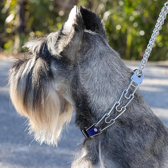 Herm Sprenger Chrome Plated Steel Dog Collar with Quick Release ClicLock Buckle and Biothane Insert Training Collar for Dogs Made in Germany (Blueberry Royal, 22in x 3.0mm(Neck Size up to 18-19in))