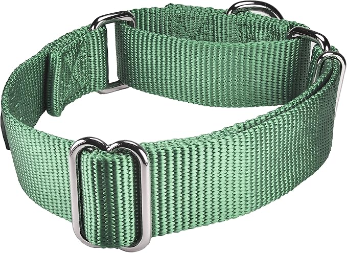 Mikivery Martingale Dog Collar Nylon Adjustable and Safety Training Metal Buckle Dogs Collars for Small Medium and Large Breed(Emerald,M)