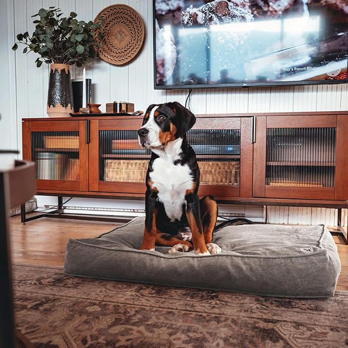 Molly Mutt Jupiter Dog Bed Duvet Cover, GOTS-Certified 100% Cotton Canvas Cover for Dog, Puppy, or Cat Bed, Durable, Washable, and Free of Harmful Chemicals, Medium/Large, 27"x36"x5", Brown