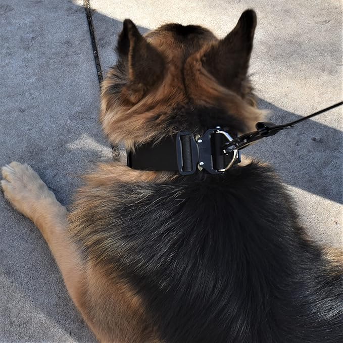 Tactical Dog Collar 2 Inch Wide Thick Heavy Duty Military Style with Metal Buckle, Adjustable for Medium - Large Breeds, Durable K9 Training Gear with Patch Area, USA Flag Patch, Strong and Secure Fit