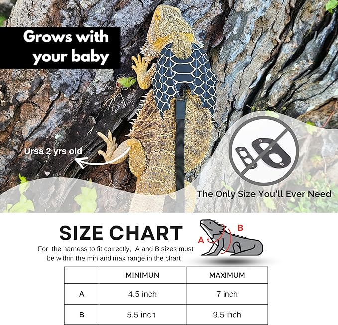 Adjustable Bearded Dragon Leash and Harness Set, Leopard Gecko Leash, Wings & Butterfly Wings, Comfortable Fit, Retractable and Escape-Proof Lizard Harness and Leash, Bearded Dragon Accessories.