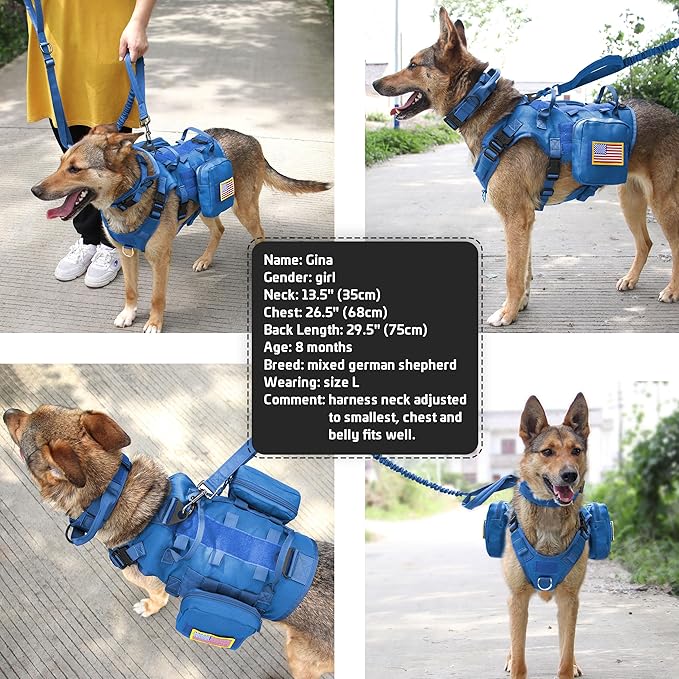 Forestpaw Tactical Dog Harness for Large Dogs,Tactical Dog Collar with Bungee Leash Set,No Pull Military Dog Harness for Walking Training,Adjustable for Medium Large Dogs,Blue,Chest 19.5-41.5"