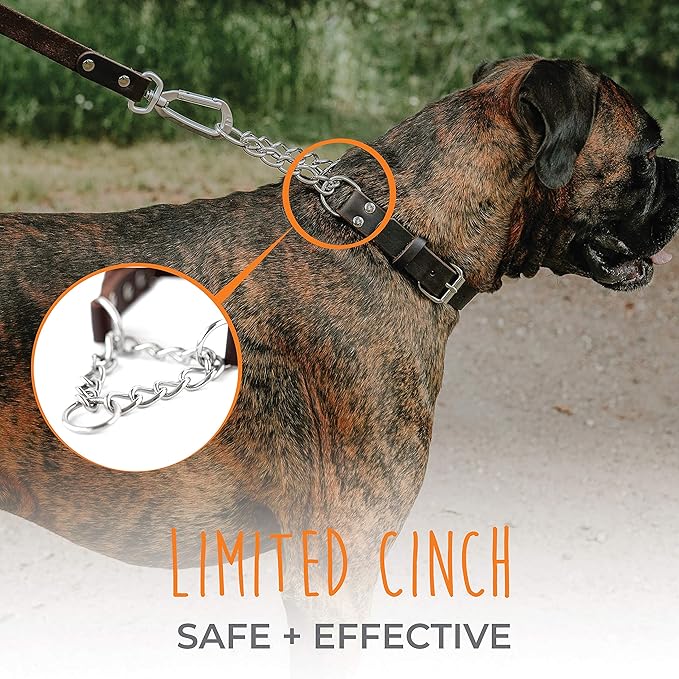 Mighty Paw Martingale Dog Collar - No Pull Design - Stainless Steel Chain - Limited Chain Cinch Training - Brown Leather Martingale Training Collar - Medium Size
