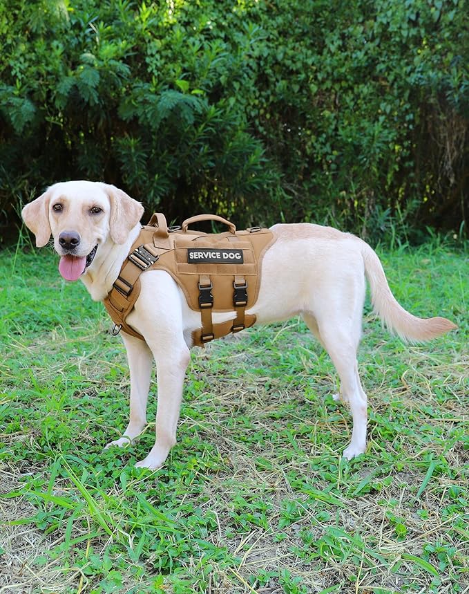Tactical Dog Harness - PETNANNY Dog Harness Service Dog Vest for Large Breed Dog, Hook and Loop Panel for Service Dog Patch, Work Dog MOLLE Vest with Handle for Walking Hiking Training(Khaki,L)