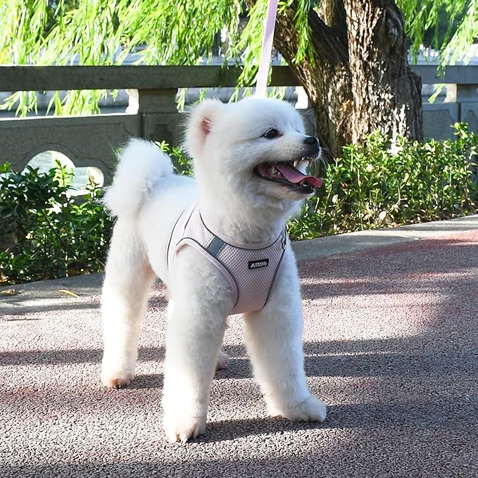 AIITLE Puppy Harness and Leash Set for Walking, Step in Dog Harness, Soft Breathable Pet Supplies, Reflective Bands, for Extra Small Dogs and House Cats Pink XXXS