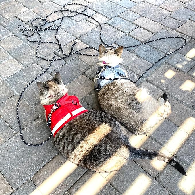 Cat Leash - 15 ft / 30 ft Reflective Long Cat Leash Outdoor for Walking Training Playing - Escape Proof Yard Lead Pet Leash Also for Cats, Small Dogs, Puppy, Kitten, Rabbit