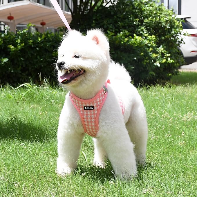 AIITLE No-Pull Pet Harness with a Leash, Plaid Comfort Padded Vest, Step in Dog Harness, Reflective Bands, Soft Breathable Pet Supplies, for Small and Medium Dogs and Cats Watermelon S