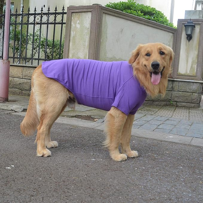 Lovelonglong Pet Clothing Dog Costumes Basic Blank T-Shirt Tee Shirts for Medium Dogs Purple XXL