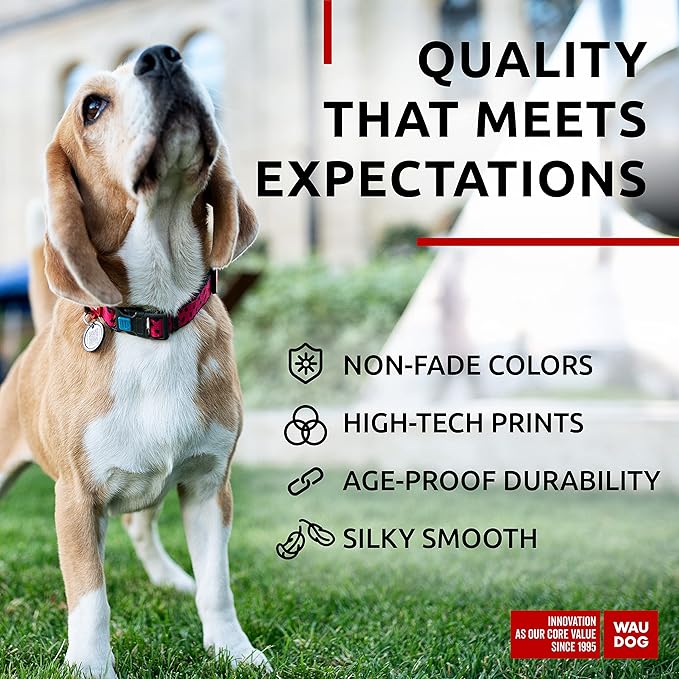 WAUDOG Nylon Dog Collar - Adjustable Dog Collar for Large Dogs, Small & Medium Dogs - Breakaway Puppy Collars for Large Breed Dogs - Boy & Girl Dog Collars with Durable Plastic Buckle and QR Dog Tag