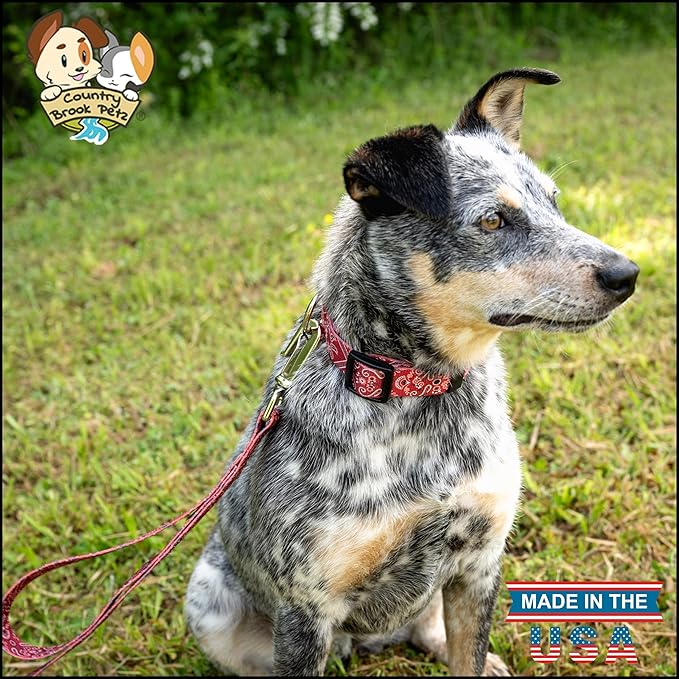 Country Brook Petz - Deluxe Red Bandana Dog Collar - Made in The U.S.A. - Country and Western Collection Featuring Rustic Designs (1/2 Inch, 2XS)
