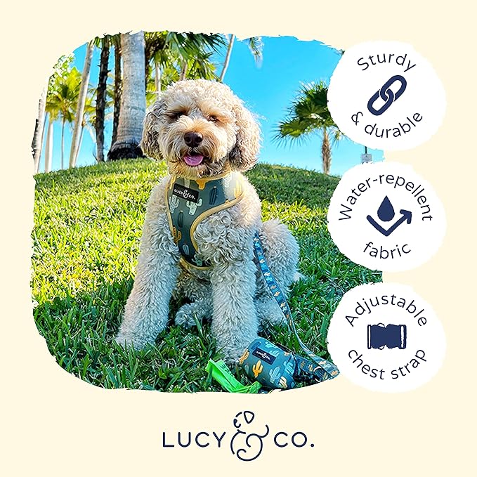 Lucy & Co. Looking Sharp, Cute Reversible Dog Harness Walking Halter - Best Designer Pet Harnesses for Medium Dogs - Padded Adjustable Vest for Easy Walking (Medium)