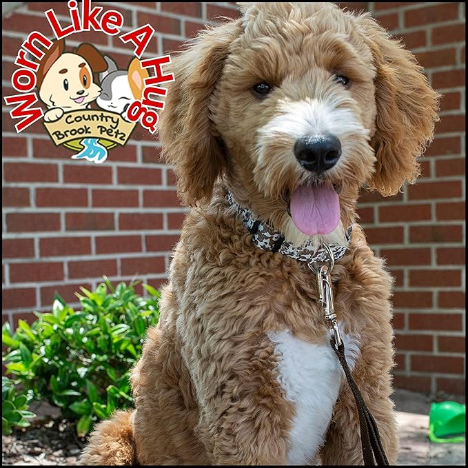 Country Brook Petz - Deluxe Cow Print Dog Collar - Made in The U.S.A. - Country and Western Collection Featuring Rustic Designs (5/8 Inch, Small)