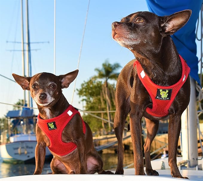 EcoBark Step in Dog Harness - Eco-Friendly Small Dog Harnesses for Small & Medium Breed Dogs - Reflective and Adjustable Body Halter Vest - Soft Mesh Harness (Red, Medium)