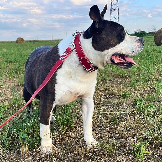 ADITYNA Heavy Duty Red Leather Dog Collar for Large Dogs - Soft and Strong Leather Collar for Walking and Training