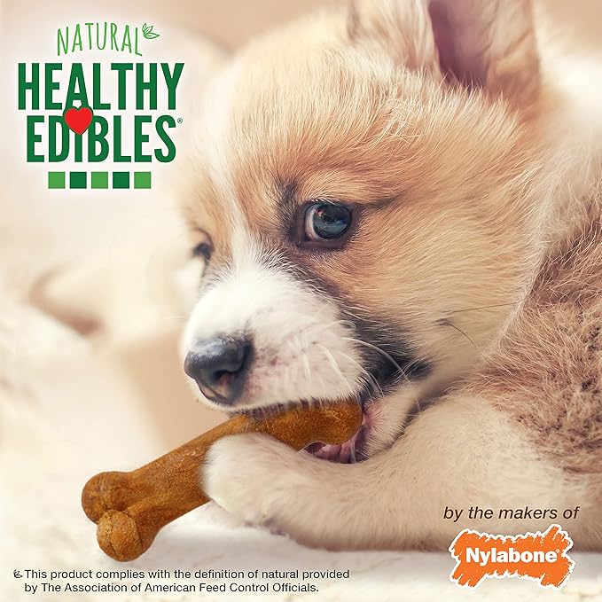 Nylabone Healthy Edibles Natural Puppy Chews Long Lasting Treats for Puppies, Turkey & Sweet Potato Flavor, X-Small/Petite (16 Count)