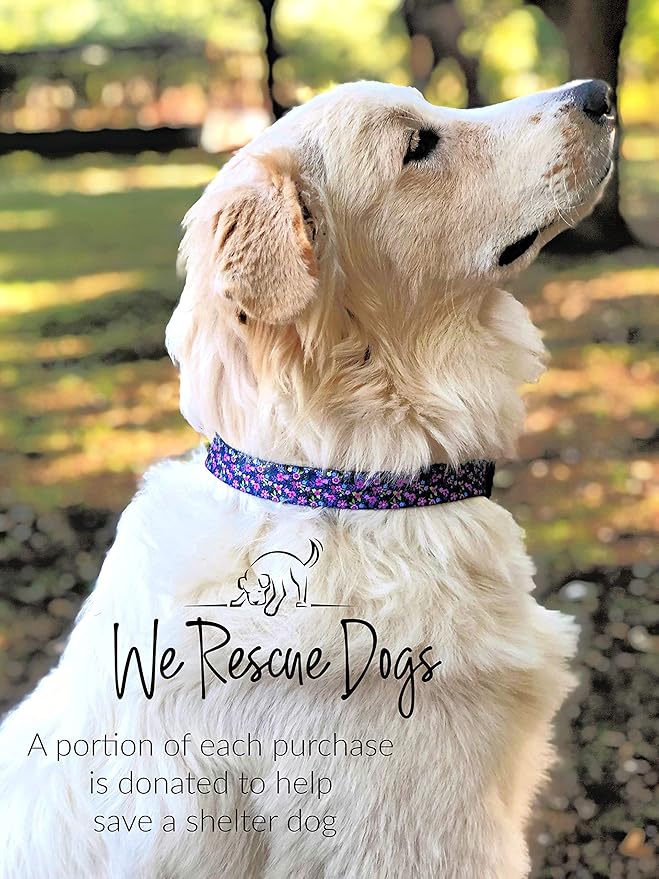 Lucky Love Dog, Matching Dog Collar & Leash Set for Female Dogs, Soft, Adjustable, Safe for Training and Walking, Black & Purple Floral Print, Primrose Combo, Small