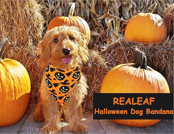 Realeaf Halloween Dog Bandanas 2 Pack, Pumpkin and Spider Web Bibs, Triangle Reversible Fall Pet Scarf, Premium Durable Fabric, Adjustable Fit (Large)