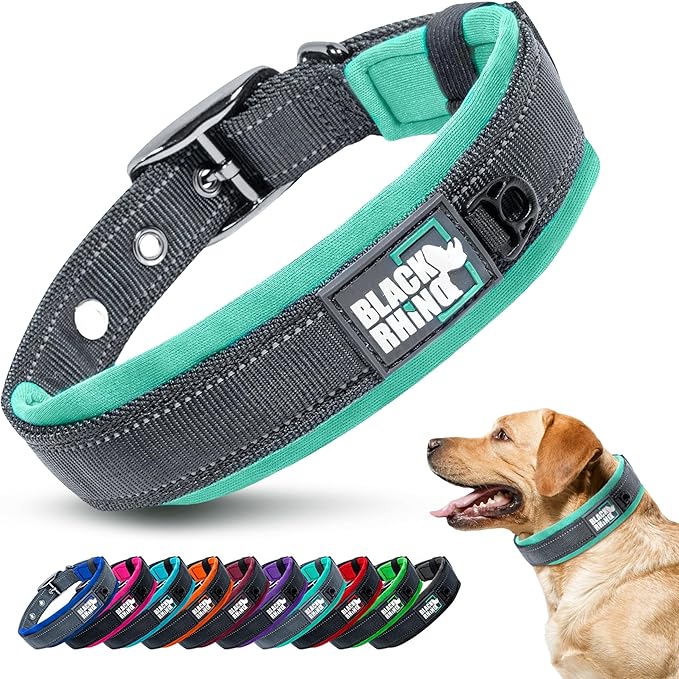 Black Rhino Dog Collar for Large Dogs - Adjustable Reflective Heavy Duty Collar with Ultra-Soft Neoprene Padding - Weatherproof, Durable, and Comfortable - Ideal for Active Dogs - Aqua and Gray