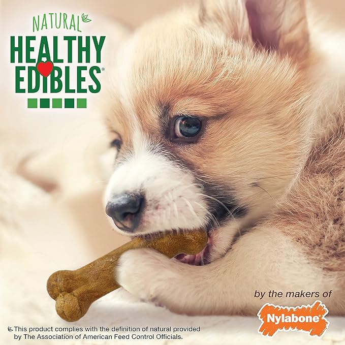 Nylabone Healthy Edibles Natural Puppy Chews Long Lasting Treats for Puppies, Lamb & Apple Flavor, X-Small/Petite (8 Count)