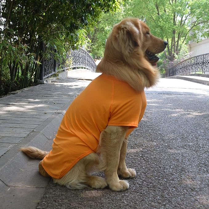 Lovelonglong Pet Clothing Dog Costumes Basic Blank T-Shirt Tee Shirts for Medium Large Dogs Orange XXL+